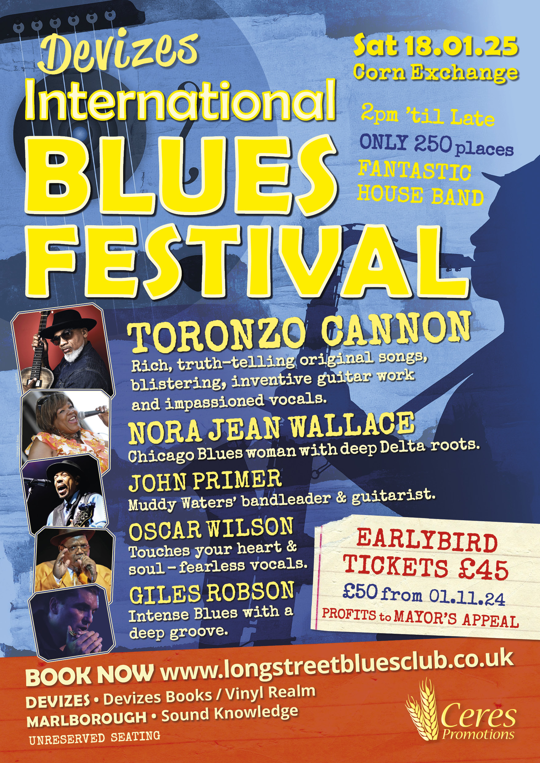 Devizes International Blues Festival poster 
